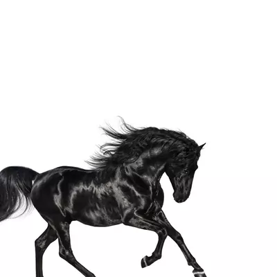 lil nas feat. billy ray cyrus از old town road دانلود آهنگ